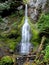 Tall and Thin Waterfall in Washington State