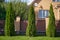 Tall thuja grow at the facade of the house