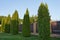 Tall thuja trees grow near the fence of a private house