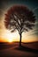 A tall tree in the desert with a sunset in the background.