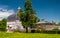 Tall tree and the Howard Peters Rawlings Conservatory in Druid H