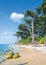 Tall trees and Coral rocks at laxmanpur Beach