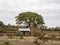 Tall trees dominate northern Ethiopia