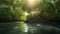 Tall Trees In Fresh Green Leaves Atoll