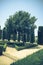 Tall trees in The jardines, royal garden of the Alcazar de los R