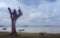 Tall trimmed tree trunk at beach in front of sea with fishing boats