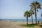 Tall twin palm trees along the Malagueta beach with ocean in the