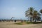 Tall twin palm trees along the Malagueta beach with volleyball c