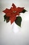 A Tall Vase Holds Bright Red Poinsettia