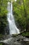 Tall waterfall in forest