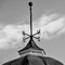 Tall Weather Vane on Top of Cupola