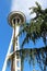 A tall Weeping Nootka Cypress tree partially obscuring the historic landmark, the Seattle Space Needle, in Washington