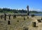 Tall wooden pillars remnants of an old pier