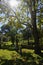 The Tallahassee Old City Cemetery is the oldest burial ground in the city, Tallagasse