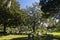 The Tallahassee Old City Cemetery is the oldest burial ground in the city, Tallagasse