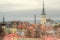 Tallin Old Town Red Roof Cityscape