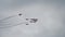 TALLINN BAY, ESTONIA - 23 JUNE, Red Arrows Royal Air Force Aerobatic Display