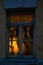 Tallinn, Estonia. Night landscape in the city with lighting. Window view with cactus flowers silhouettes