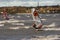 Tallinn, Estonia - October 18, 2008: A windsurfer in a suit rolls along the waves on a board with a sail with a strong slope.