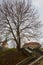 Tallinn, Estonia: Steps that lead to the Fat Margaret tower. Autumn landscape with a view of the Church of St. Olaf