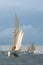Tallships off Gdynia