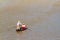 Tam Báº£n, Sampan, small boat in Mekong River, Vietnam