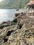 Taman Laut Olele Beach near Gorontalo on Sulawesi in Indonesia, bay with fishermen boats and houses