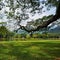 Taman tasik taiping or Taiping Lake in Perak, malaysia.