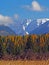 Tamaracks and Swan Peak