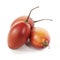 Tamarillo