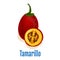 Tamarillo fruit icon emblem