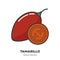 Tamarillo fruit icon, filled outline style vector