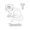 Tamarin Animal Alphabet ABC Isolated Coloring T