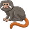 Tamarin Animal Cartoon Colored Clipart