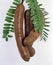 Tamarind fruit. Brazilian tropical fruit