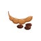 Tamarind fruit, tropical exotic fruits food icon