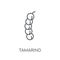 Tamarind linear icon. Modern outline Tamarind logo concept on wh