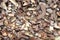 Tamarind shell heap, tamarind texture shell background