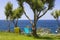 Tamarix trees and Mediterranean sea on a background. Crete