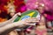 Tambourine player on samba parade