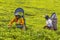 A Tamil woman from Sri Lanka breaks tea leaves on tea plantation with the traditional tea plucking method at haputale, Sri Lanka