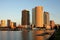 Tampa City Skyline with River