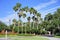Tampa palms community