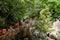 Tanawan waterfalls bamboo bridge in Aurora, Philippines