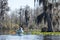 Tandem kayakers paddling through Spanish Moss and Cypress in the Okefenokee Swamp