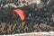 Tandem Paraglider soaring over Grand Teton National Park