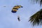 Tandem Skydivers Coming Into Land