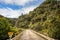 Tangarakau River Bridge on the Forgotten World Highway, New Zealand. Empty road through a forest landscape with blue, cloud sky