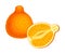 Tangelo as Hybrid Citrus Fruit with Tart and Tangy Taste Vector Illustration
