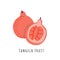 Tangelo fruit flat vector illustration
